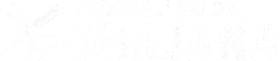 Frizerski salon „Mirjana”